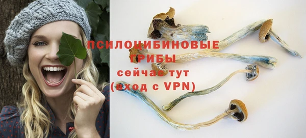 ПСИЛОЦИБИНОВЫЕ ГРИБЫ Балабаново
