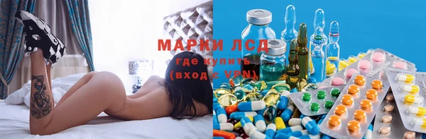 шишки Балахна