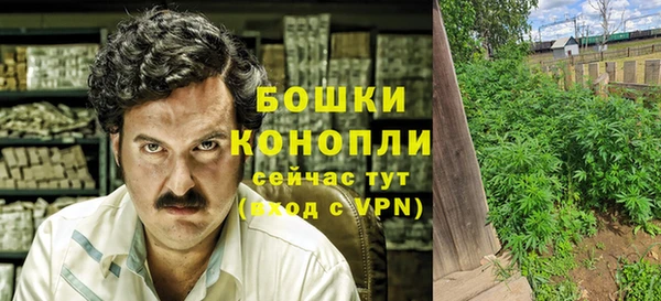 дживик Баксан