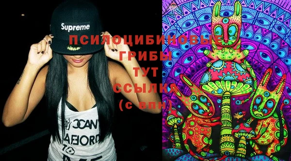 шишки Балахна