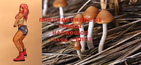 дживик Баксан