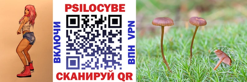 наркотики  Сокол  Галлюциногенные грибы Magic Shrooms 